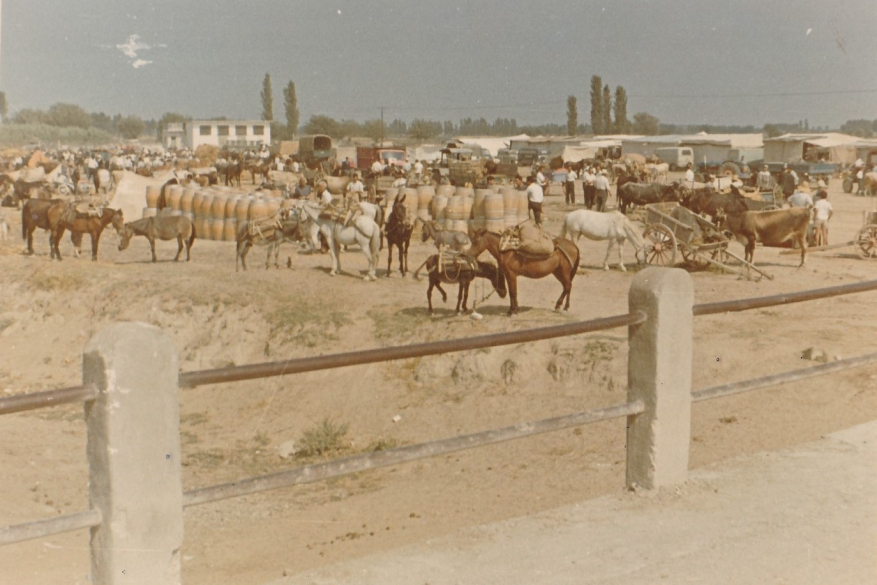 Εμποροπανήγυρη Αιγινίου 1926